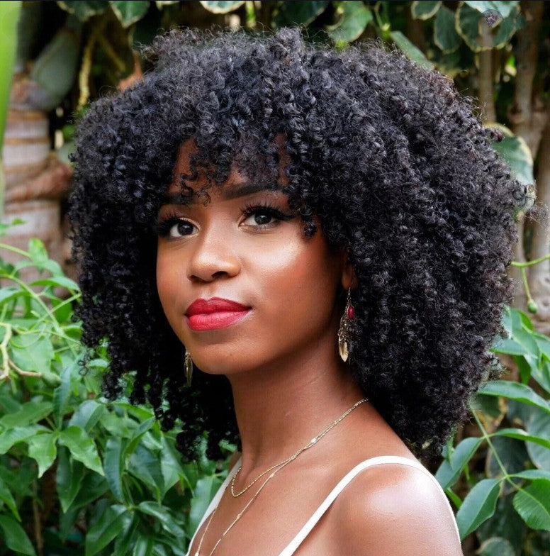 Short Curly European and American Female Wigs-1